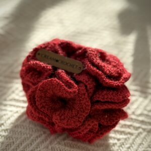 Rosa Cherry Rose 🌹